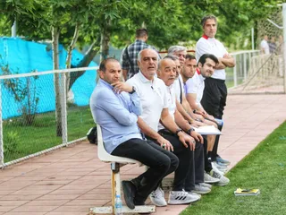 دوستانه