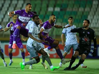 هوادار