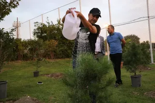 کاشت درخت