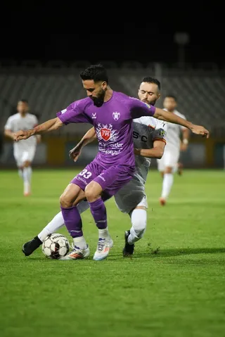 هوادار