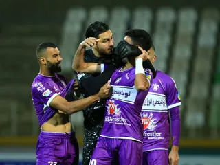 هوادار