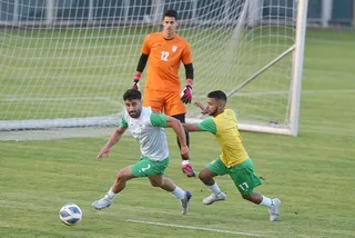 بزرگسالان
