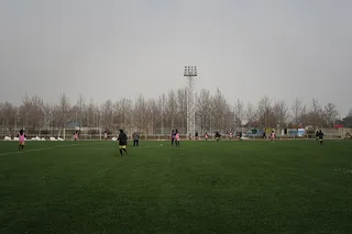 سلیمی