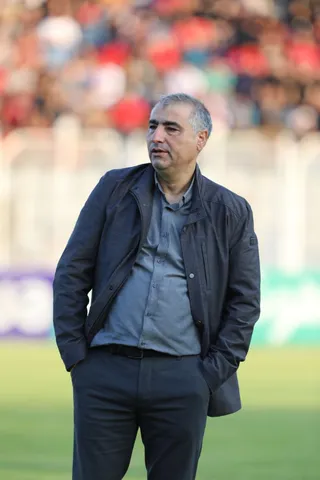 هوادار