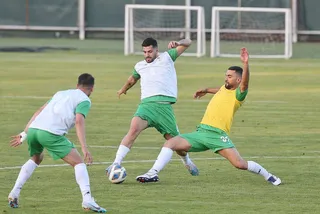 بزرگسالان