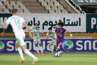 هوادار