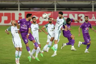 هوادار