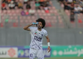 هوادار