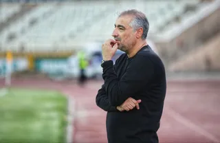 هوادار