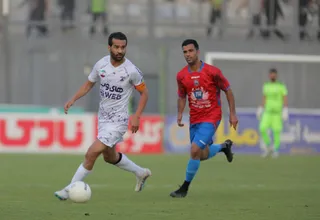 هوادار