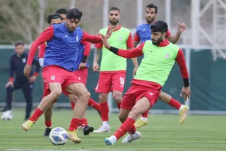 بزرگسالان ۱