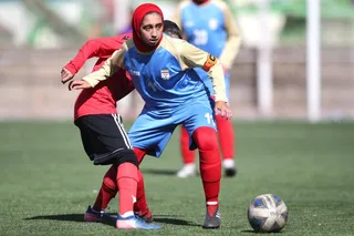 شاهین