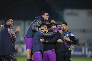 هوادار
