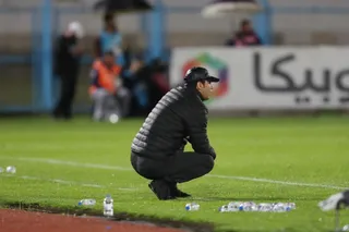 هوادار