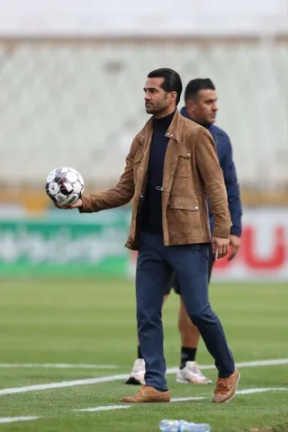 هوادار