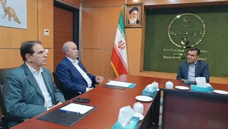 فدراسیون