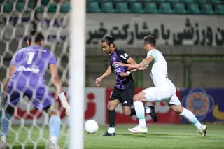 هوادار