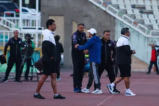 هوادار