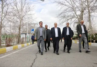 فدراسیون