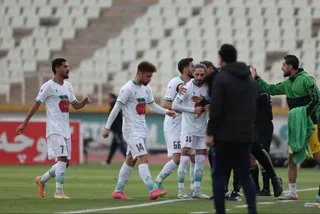 هوادار