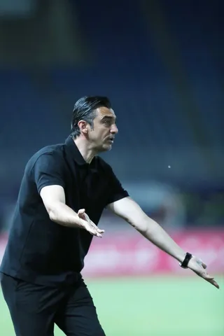 هوادار