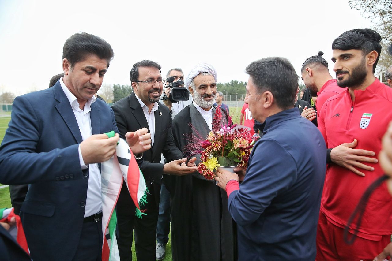 تیم ملی