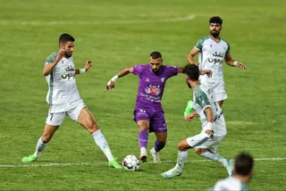 هوادار