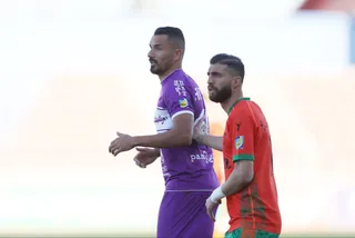 هوادار