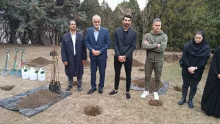 فدراسیون