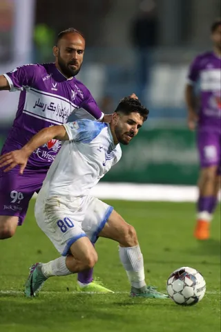 هوادار