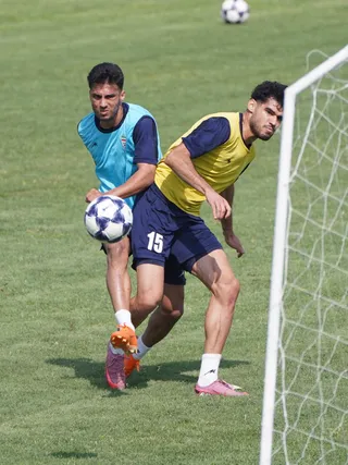 تیم