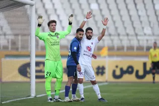 هوادار
