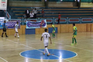 فستیوال