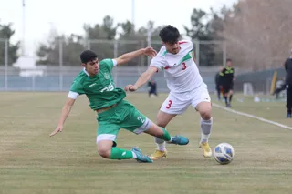 دوستانه