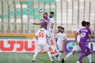 هوادار