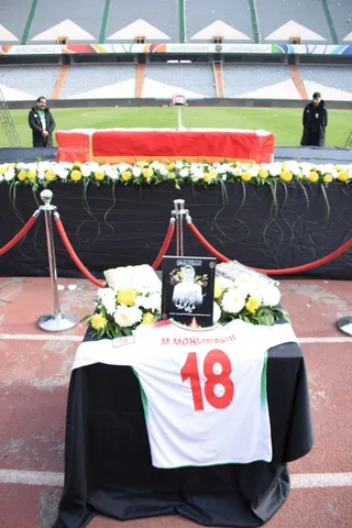فدراسیون