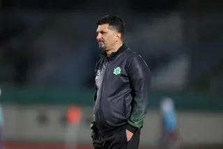 هوادار