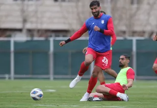بزرگسالان ۱