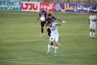 هوادار