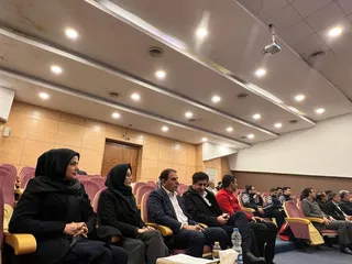 فدراسیون