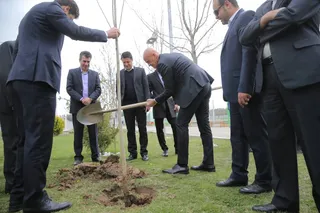 کولینا-2