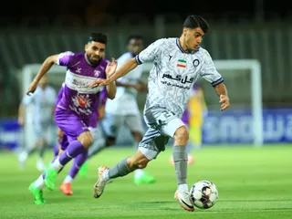 هوادار
