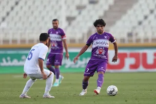 هوادار