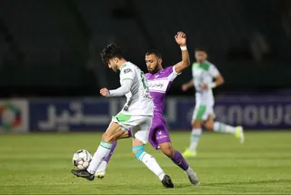 هوادار