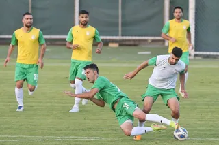 بزرگسالان