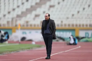 هوادار