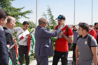 بزرگسالان