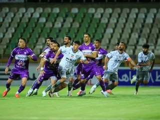 هوادار