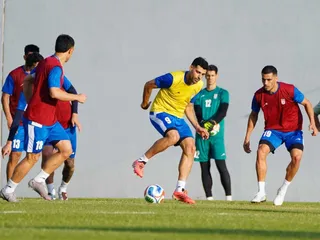 تیم ملی