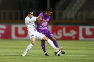 هوادار